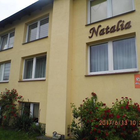 Pokoje Goscinne Natalia Мендзиздроє Екстер'єр фото